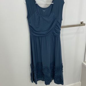 Garnet Hill Adorable Blue dress size M